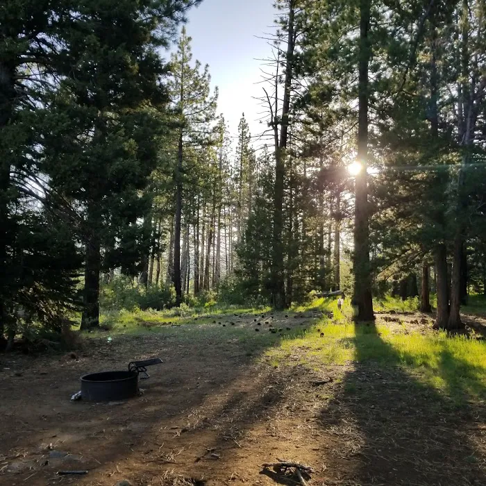 Bear Valley Campground Picture 3