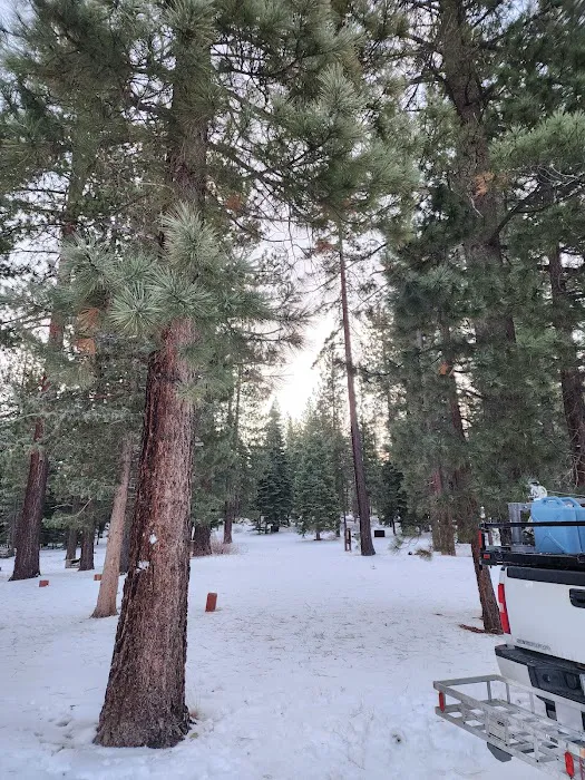 Bear Valley Campground Picture 4