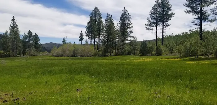 Bear Valley Campground Picture 6
