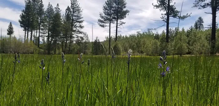 Bear Valley Campground Picture 5