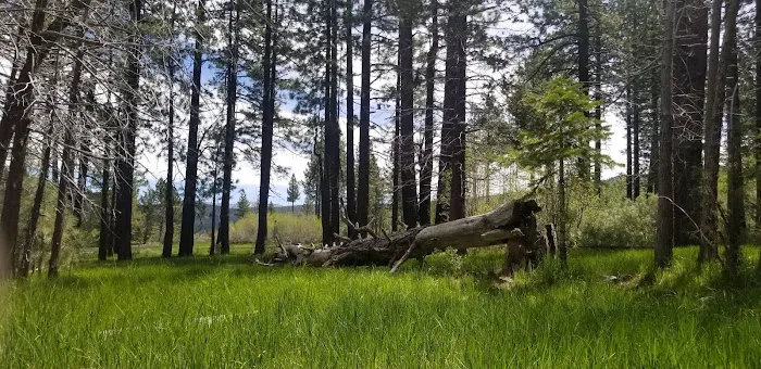 Bear Valley Campground Picture 8