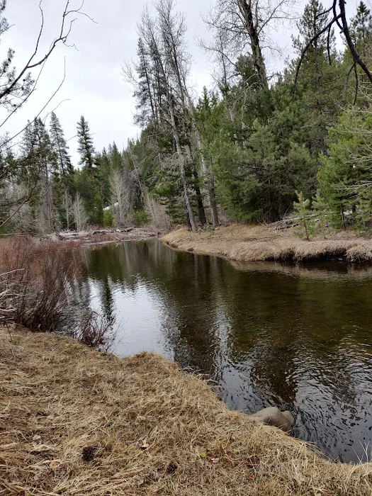 Upper Little Truckee Campground Picture 4