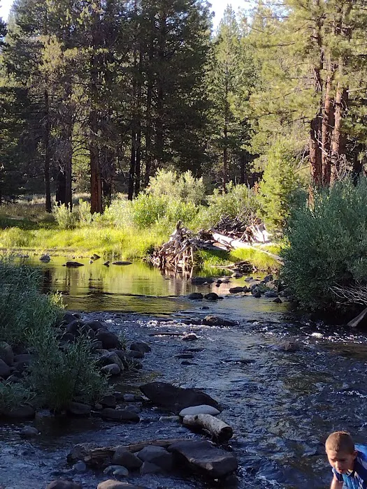 Upper Little Truckee Campground Picture 2