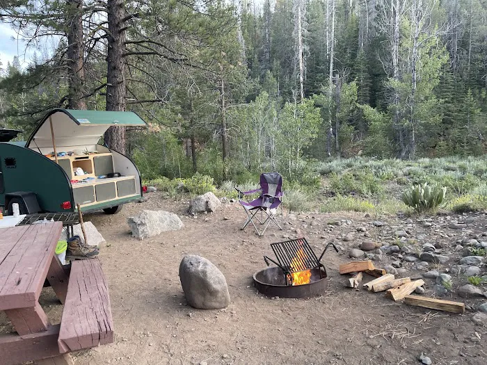 Upper Little Truckee Campground Picture 1