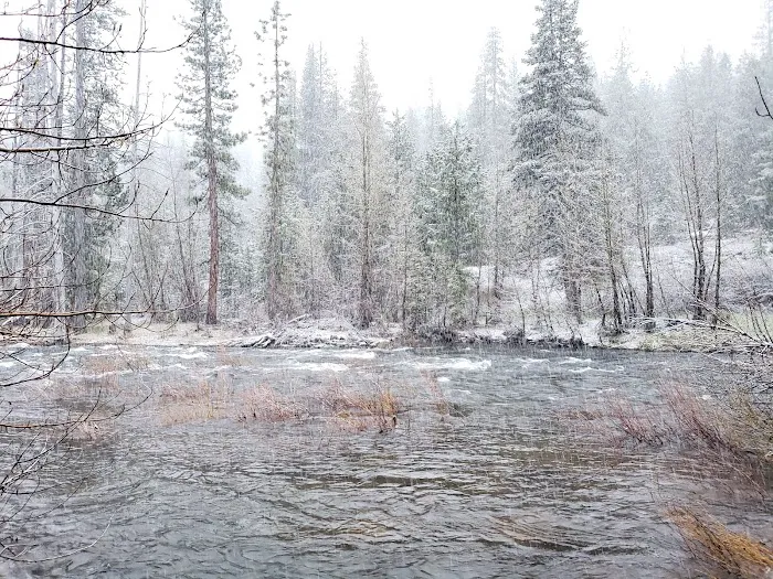 Upper Little Truckee Campground Picture 6