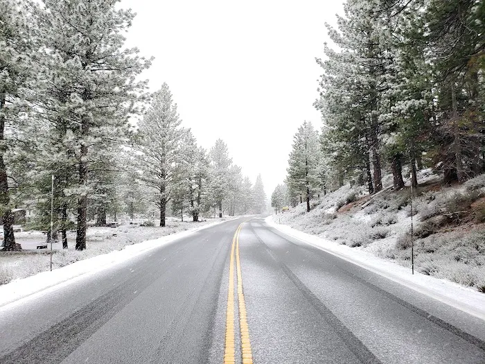 Upper Little Truckee Campground Picture 5