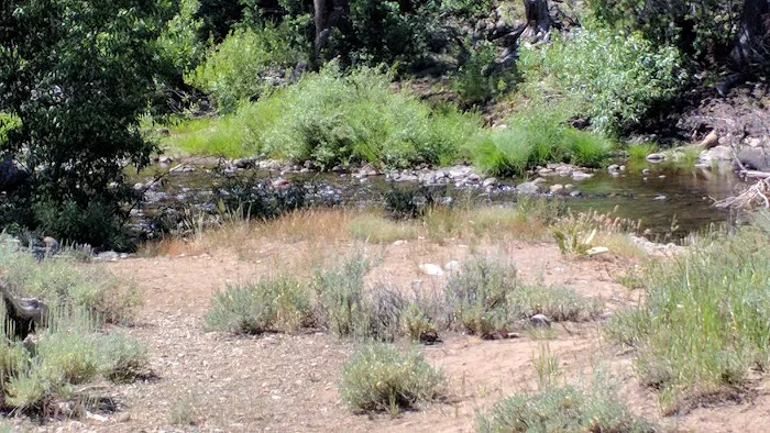 Upper Little Truckee Campground Picture 8