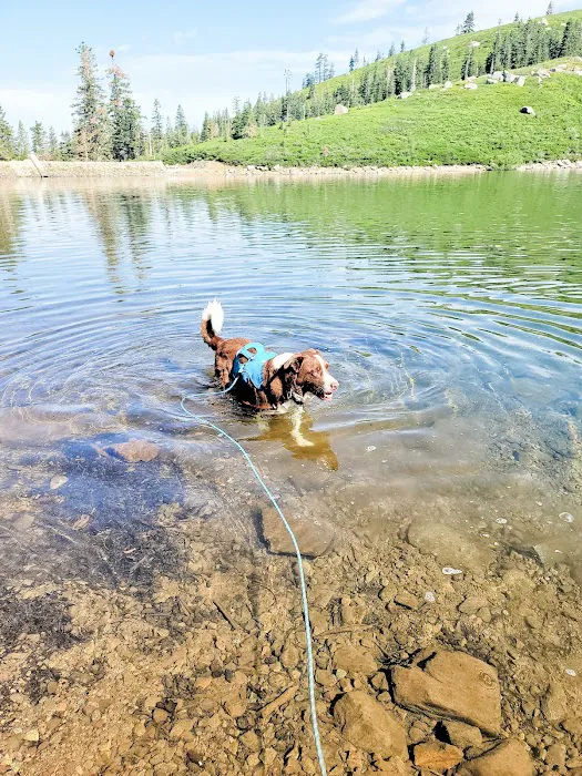 Carr-Feeley Lake Campground and Trailhead Picture 1