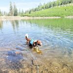 Carr-Feeley Lake Campground and Trailhead