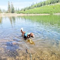 Carr-Feeley Lake Campground and Trailhead ico
