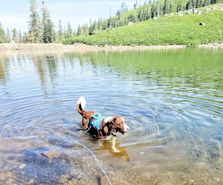 Carr-Feeley Lake Campground and Trailhead
