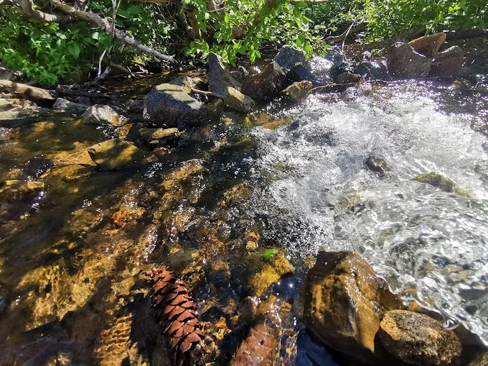 Carr-Feeley Lake Campground and Trailhead Picture 10