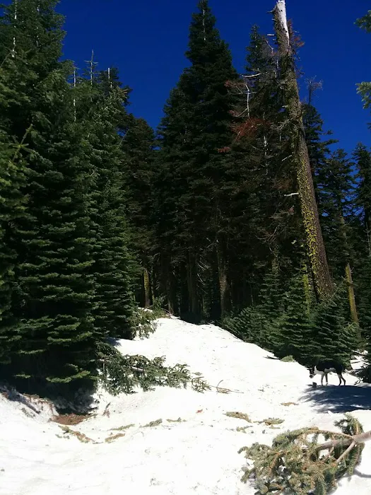 Grouse Ridge Lookout Picture 7