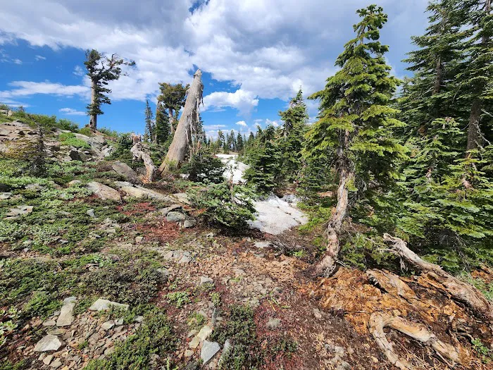 Grouse Ridge Lookout Picture 9