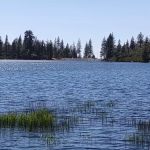 Blue Lake Dispersed Campground