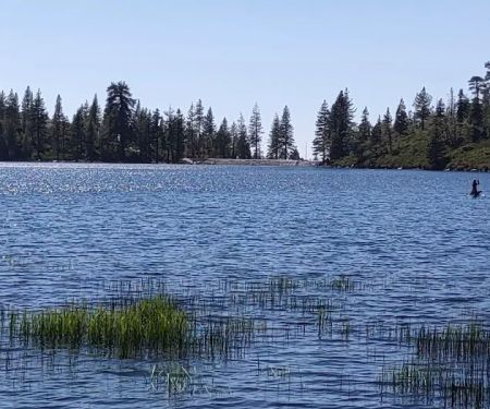 Blue Lake Dispersed Campground