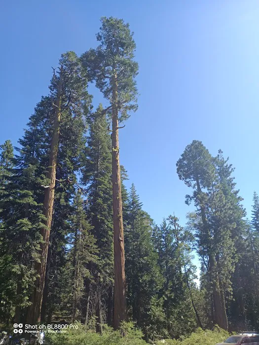 Blue Lake Dispersed Campground Picture 3