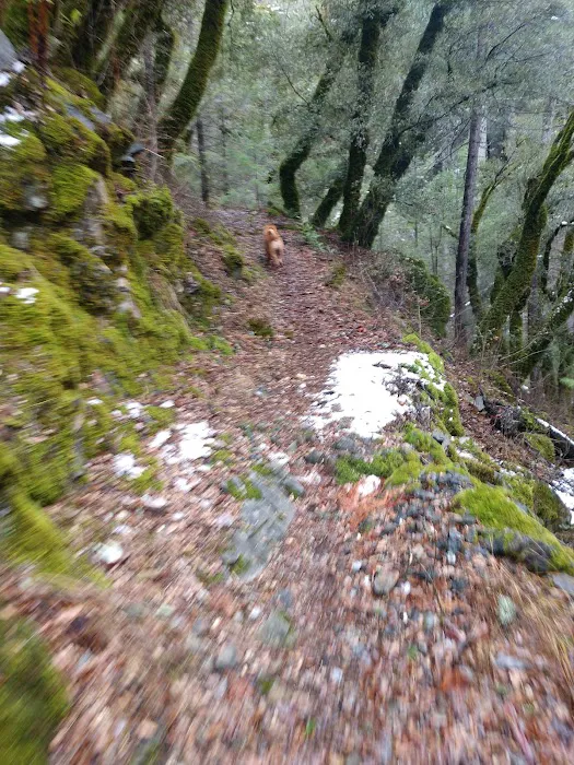 Rocky Rest Campground Picture 5