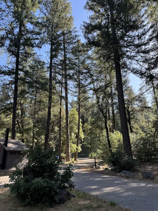 Indian Valley Campground Picture 10