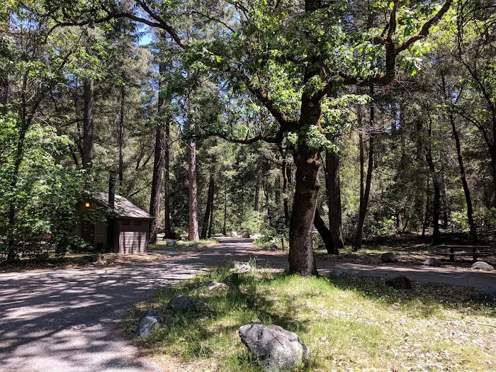 Indian Valley Campground Picture 2