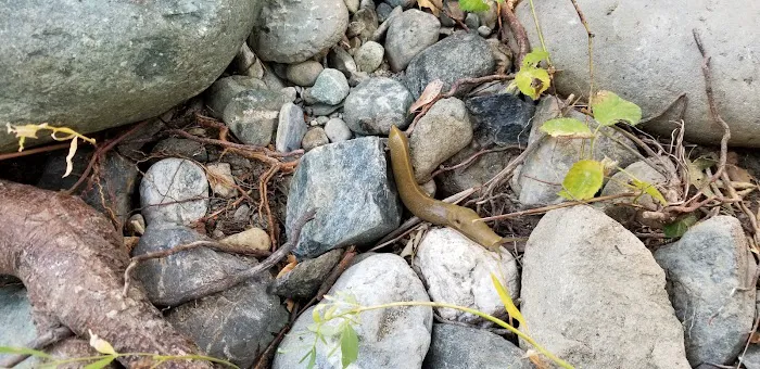 Indian Valley Campground Picture 5