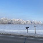 Cozy Corner Campsite