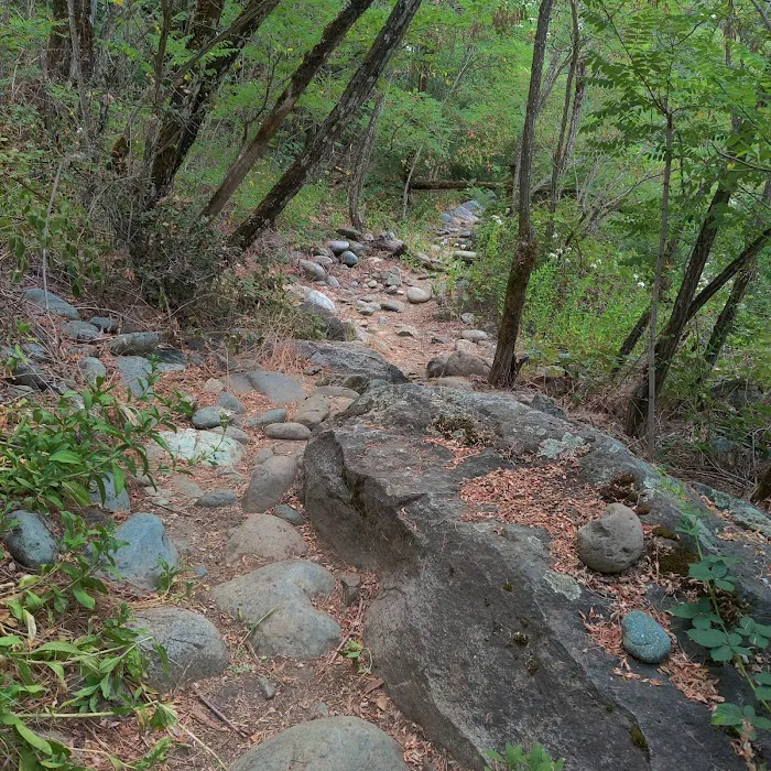 Fiddle Creek Campground Picture 10