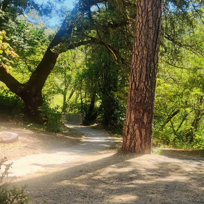 Fiddle Creek Campground Picture 9