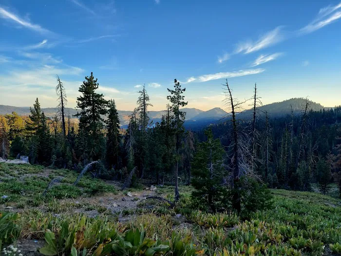 Meadow Lake Campground Picture 1