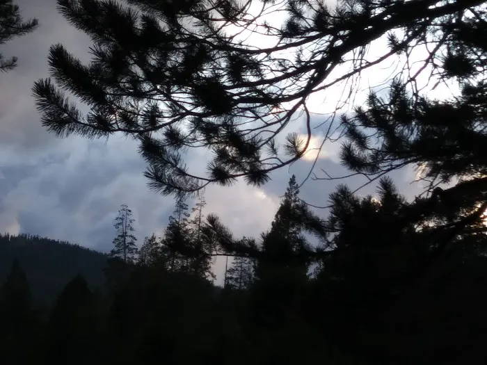 Sagehen Creek Campground Picture 4