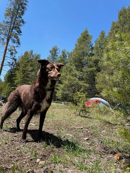 Sagehen Creek Campground Picture 1