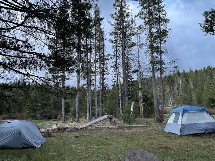 Sagehen Creek Campground Picture 8