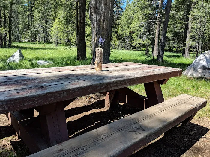 Sagehen Creek Campground Picture 7
