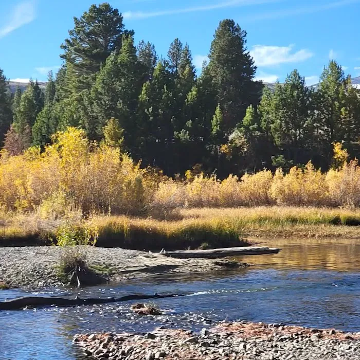 Sagehen Creek Campground Picture 3