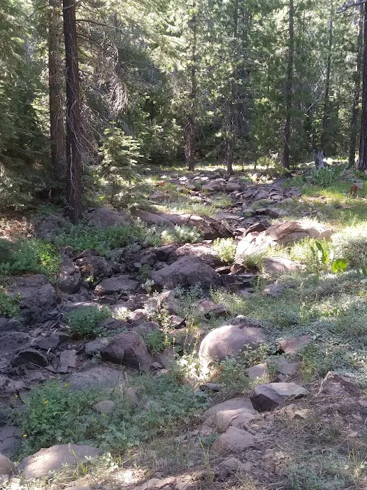 Sagehen Creek Campground Picture 10