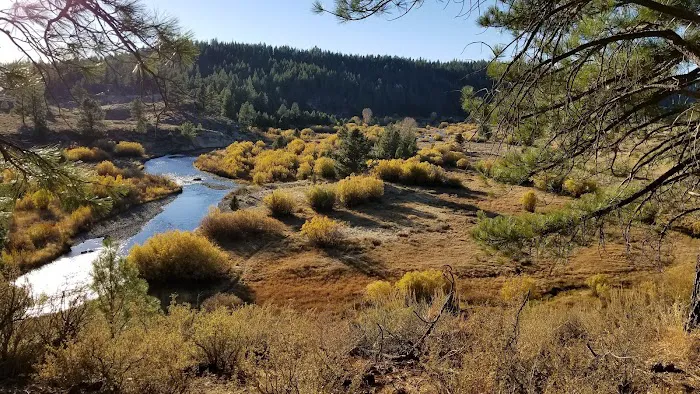 Stampede Reservoir Picture 9
