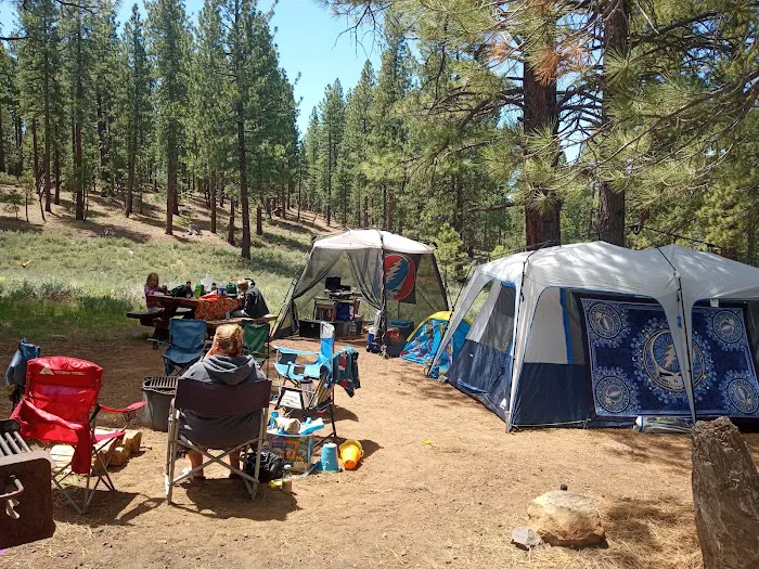 Stampede Reservoir Picture 5