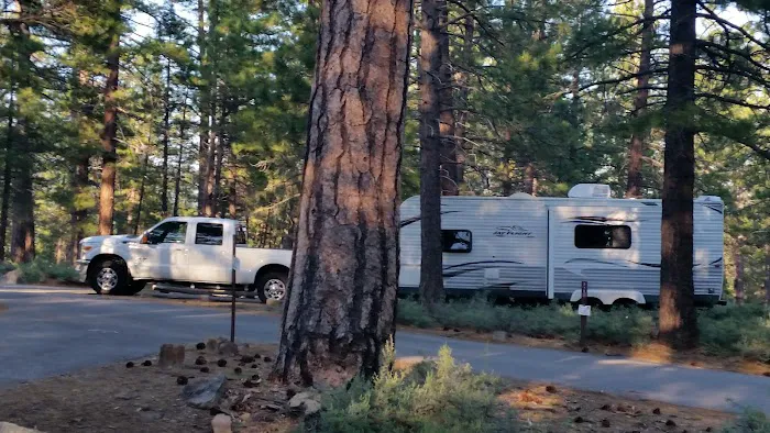 Logger Campground Picture 9