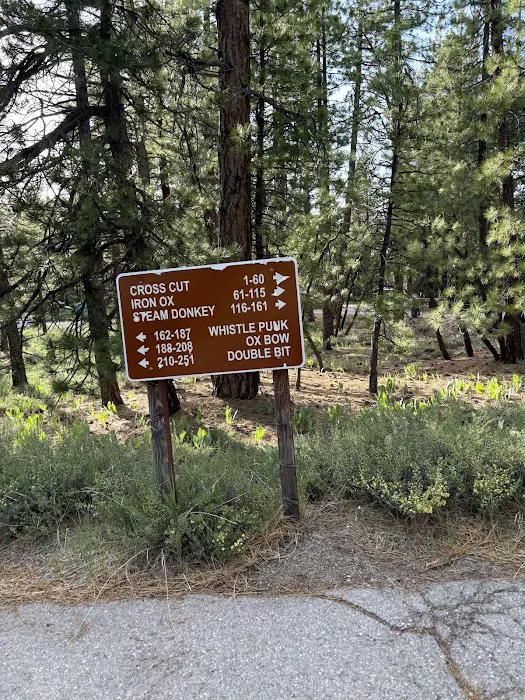Logger Campground Picture 4