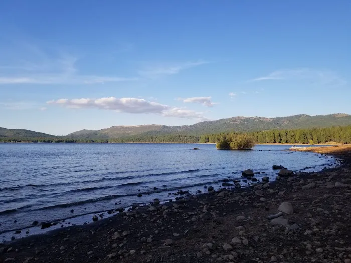 Logger Campground Picture 6