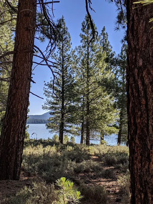 Logger Campground Picture 8