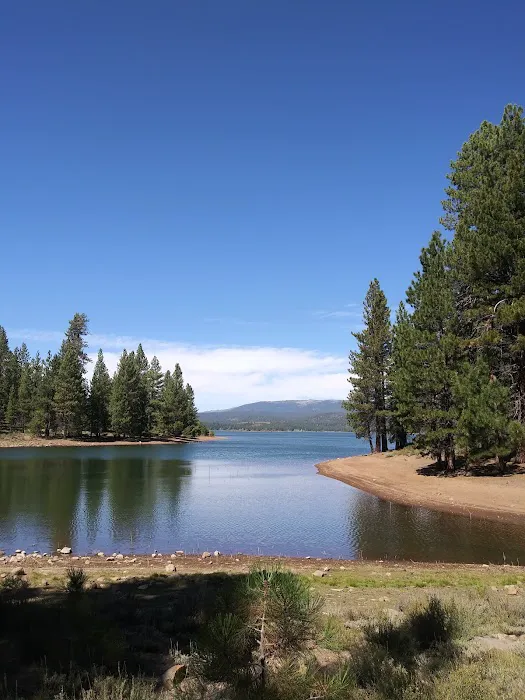 Logger Campground Picture 3