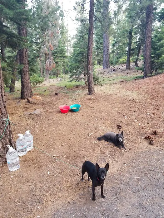 Crystal Peak Campground Picture 9