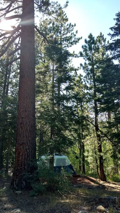 Crystal Peak Campground Picture 7