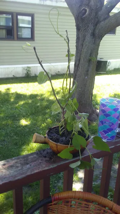 Country Acres Mobile Home Park Picture 1