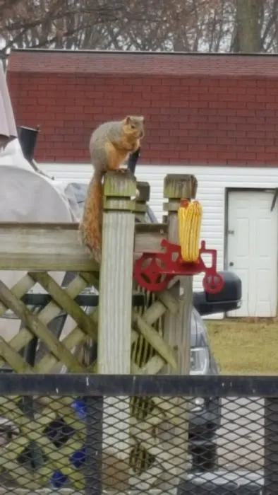 Country Acres Mobile Home Park Picture 7