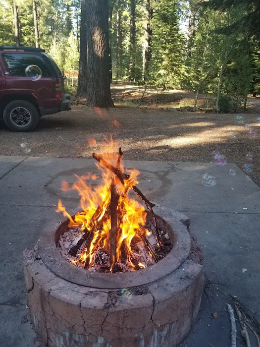 Lookout Campground Picture 4