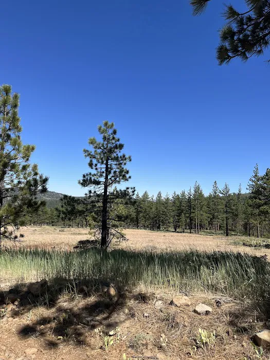 Lookout Campground Picture 3