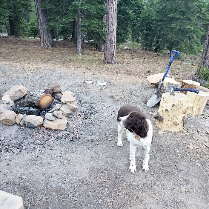 Lookout Campground Picture 9