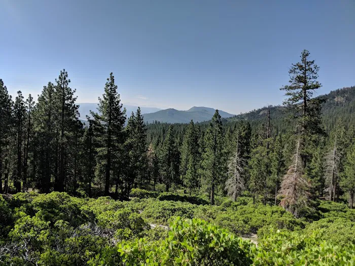 Lookout Campground Picture 8